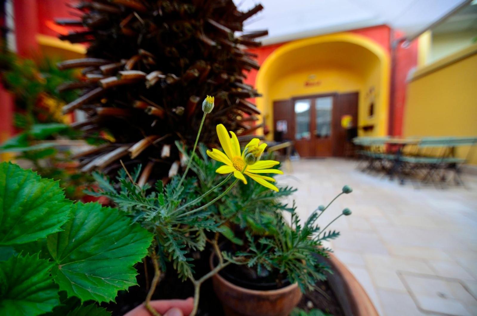 Bed & Breakfast Manouche Osteria San Leucio