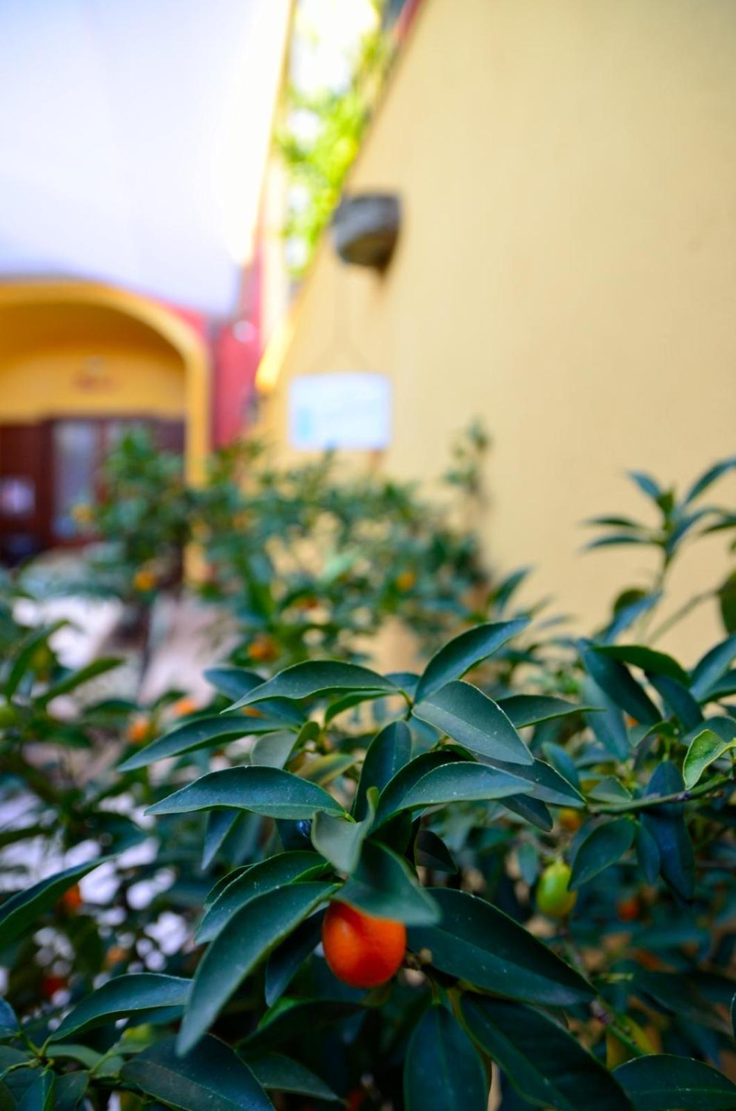 Manouche Osteria